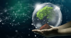 Eco-Friendly Tech Solutions for Businesses