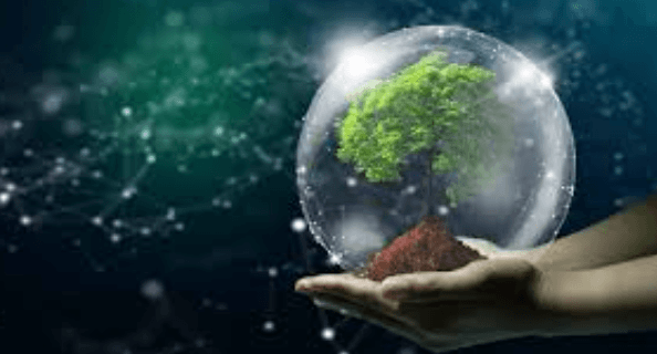 Eco-Friendly Tech Solutions for Businesses